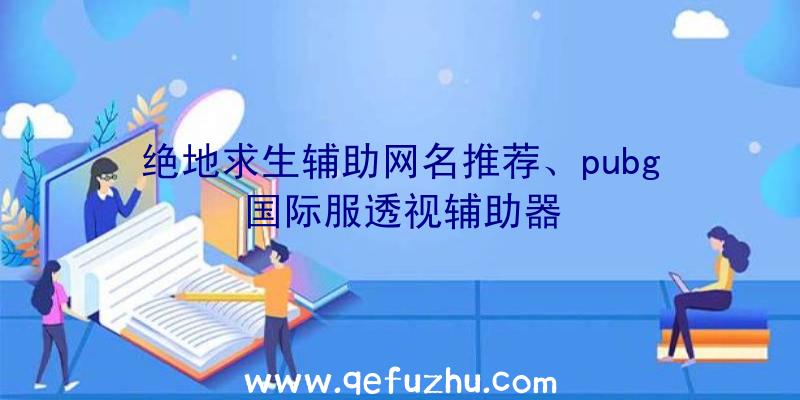 绝地求生辅助网名推荐、pubg国际服透视辅助器