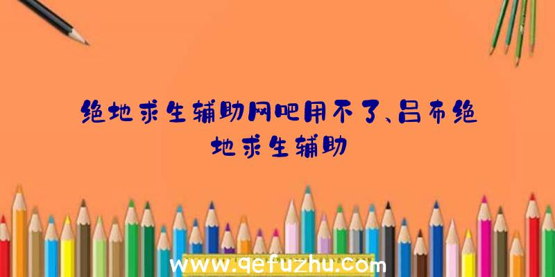 绝地求生辅助网吧用不了、吕布绝地求生辅助