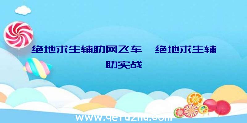 绝地求生辅助网飞车、绝地求生辅助实战