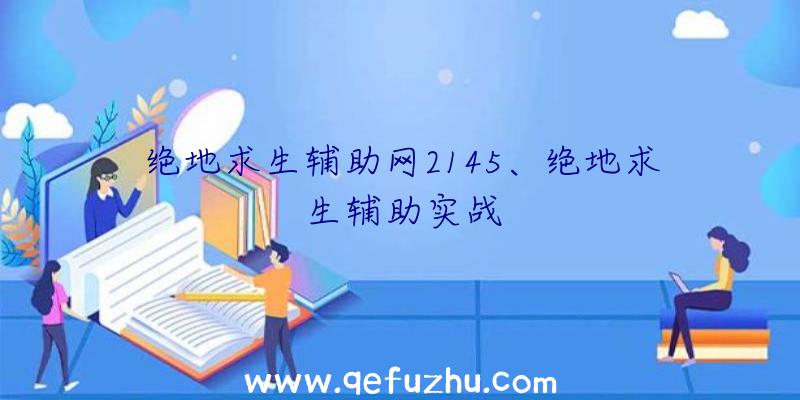 绝地求生辅助网2145、绝地求生辅助实战