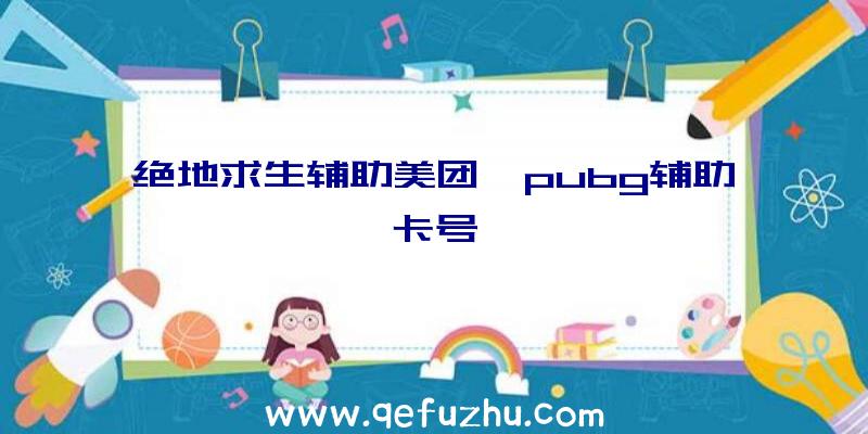 绝地求生辅助美团、pubg辅助卡号