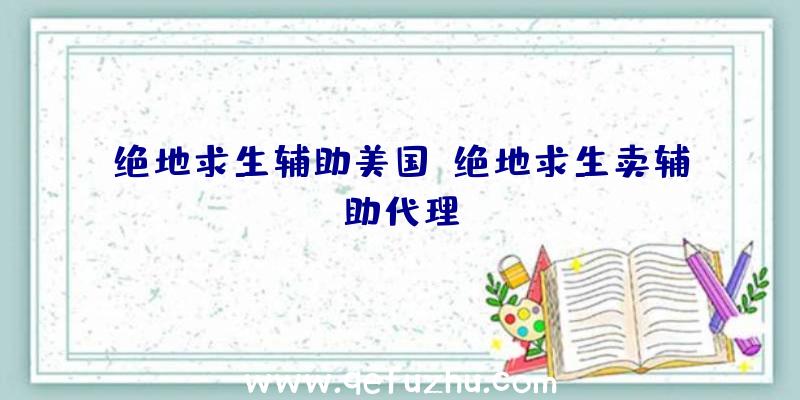 绝地求生辅助美国、绝地求生卖辅助代理