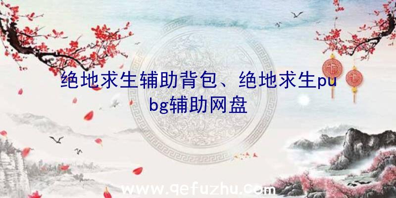 绝地求生辅助背包、绝地求生pubg辅助网盘