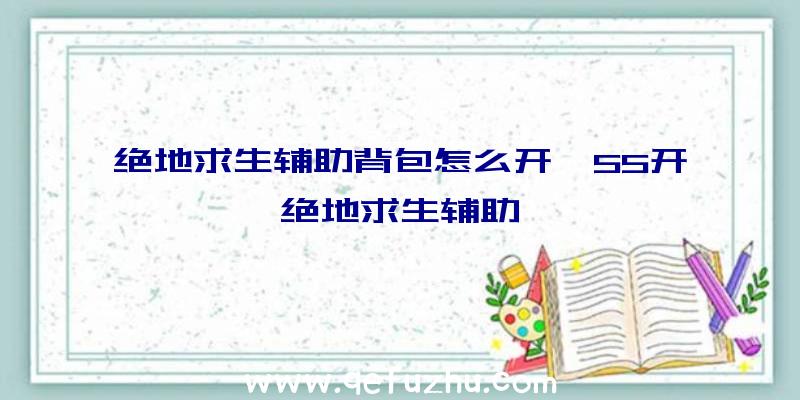 绝地求生辅助背包怎么开、55开绝地求生辅助