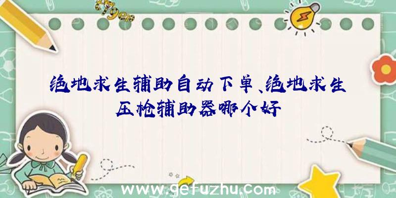 绝地求生辅助自动下单、绝地求生压枪辅助器哪个好