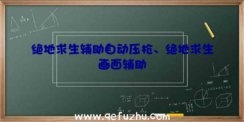 绝地求生辅助自动压枪、绝地求生画面辅助