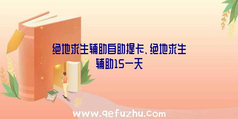 绝地求生辅助自助提卡、绝地求生辅助15一天