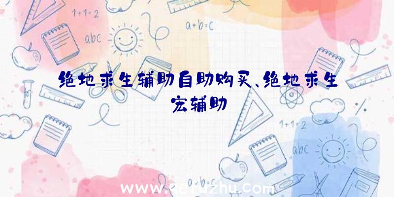 绝地求生辅助自助购买、绝地求生宏辅助