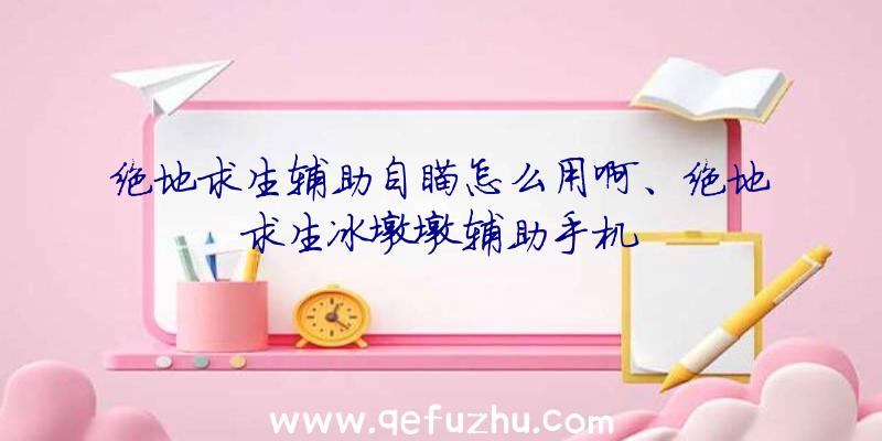 绝地求生辅助自瞄怎么用啊、绝地求生冰墩墩辅助手机