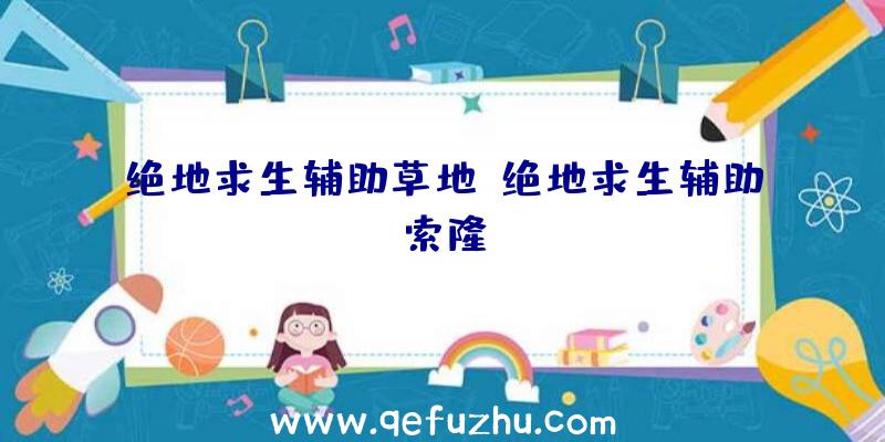 绝地求生辅助草地、绝地求生辅助索隆