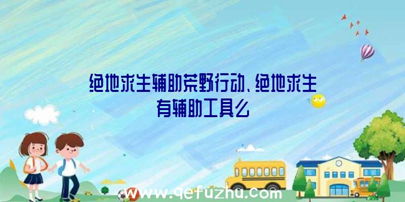 绝地求生辅助荒野行动、绝地求生有辅助工具么