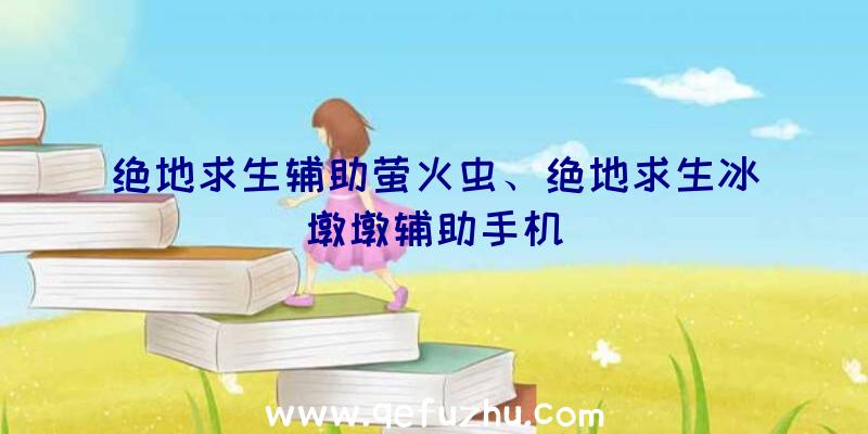 绝地求生辅助萤火虫、绝地求生冰墩墩辅助手机