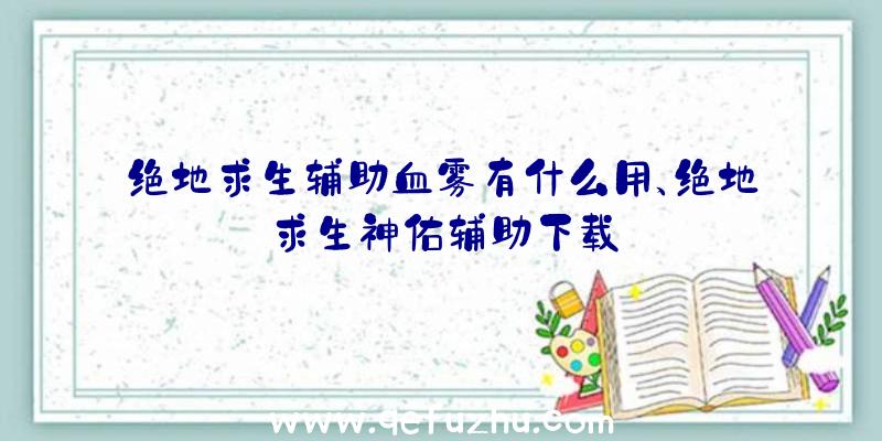 绝地求生辅助血雾有什么用、绝地求生神佑辅助下载