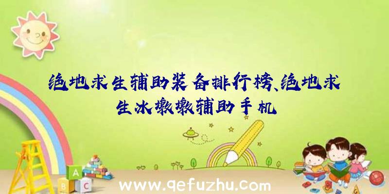 绝地求生辅助装备排行榜、绝地求生冰墩墩辅助手机