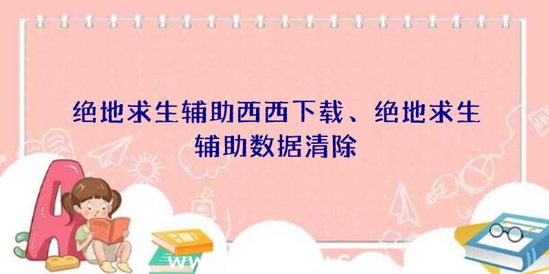 绝地求生辅助西西下载、绝地求生辅助数据清除