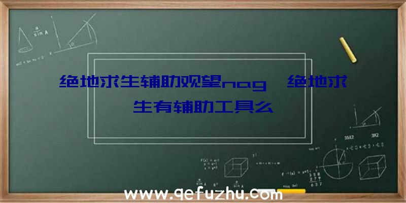 绝地求生辅助观望nag、绝地求生有辅助工具么