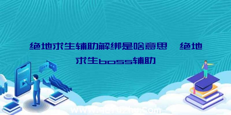 绝地求生辅助解绑是啥意思、绝地求生boss辅助