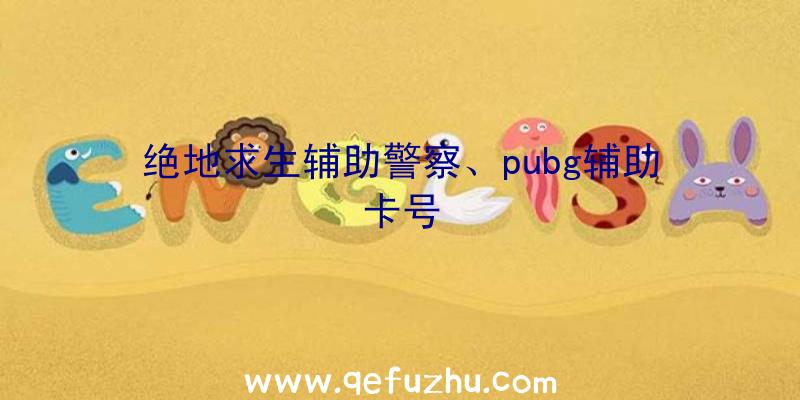 绝地求生辅助警察、pubg辅助卡号