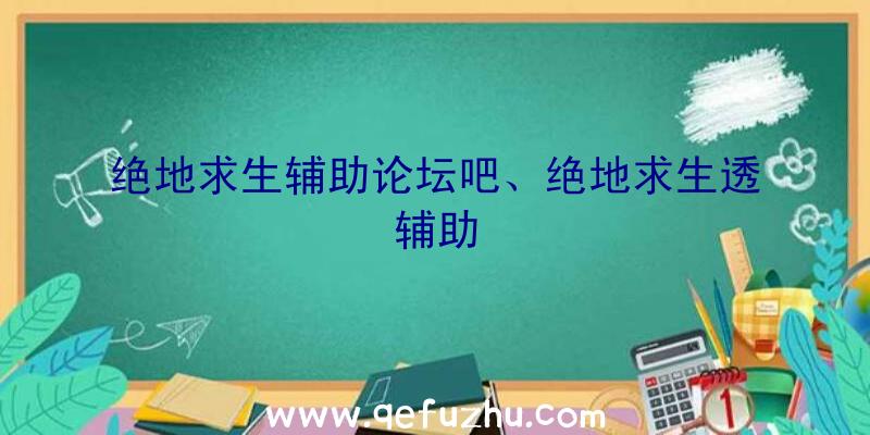 绝地求生辅助论坛吧、绝地求生透辅助