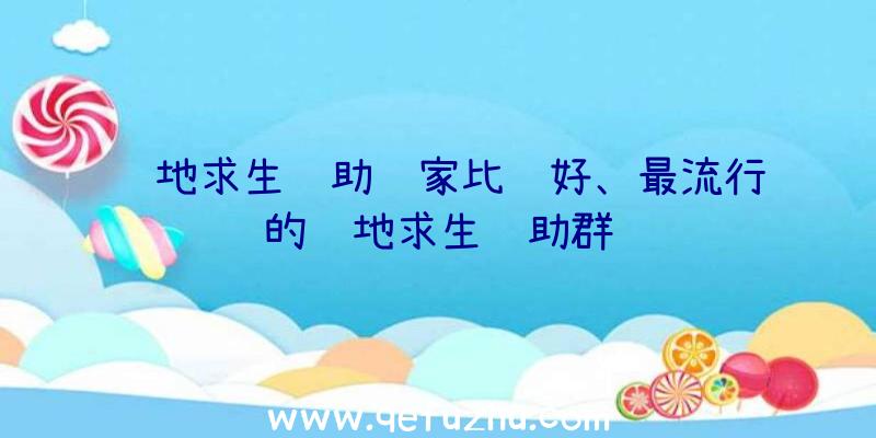 绝地求生辅助谁家比较好、最流行的绝地求生辅助群