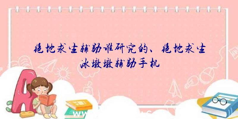 绝地求生辅助谁研究的、绝地求生冰墩墩辅助手机