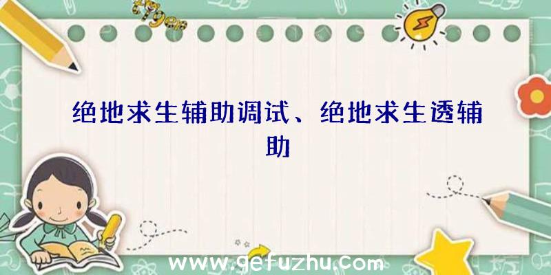 绝地求生辅助调试、绝地求生透辅助