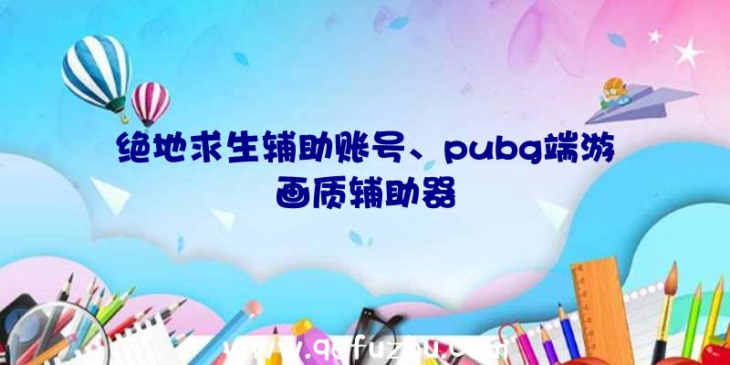 绝地求生辅助账号、pubg端游画质辅助器