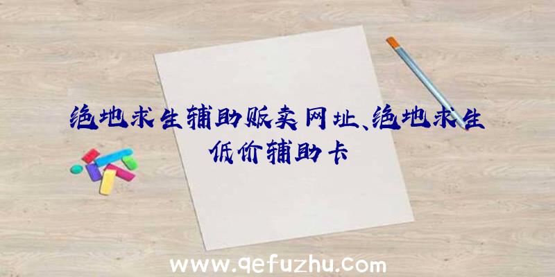 绝地求生辅助贩卖网址、绝地求生低价辅助卡