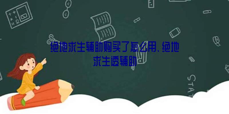 绝地求生辅助购买了怎么用、绝地求生透辅助