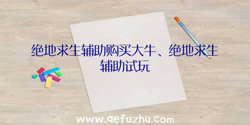 绝地求生辅助购买大牛、绝地求生辅助试玩