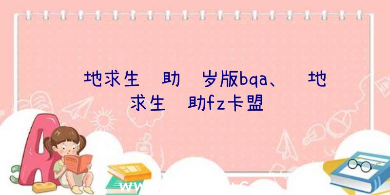 绝地求生辅助贺岁版bqa、绝地求生辅助fz卡盟