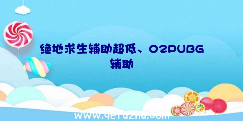 绝地求生辅助超低、02PUBG辅助