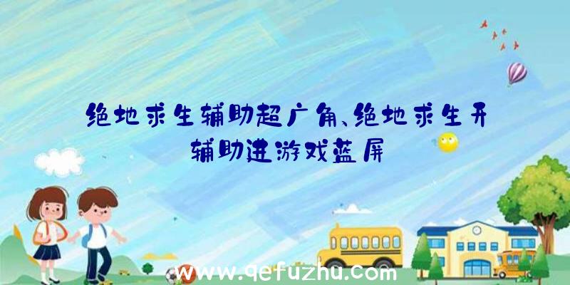 绝地求生辅助超广角、绝地求生开辅助进游戏蓝屏