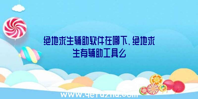 绝地求生辅助软件在哪下、绝地求生有辅助工具么