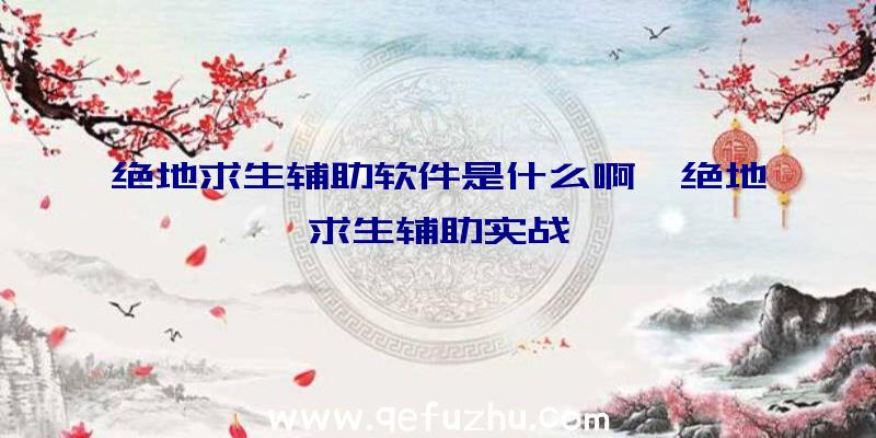 绝地求生辅助软件是什么啊、绝地求生辅助实战