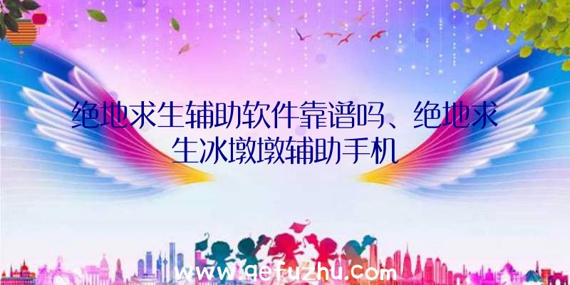 绝地求生辅助软件靠谱吗、绝地求生冰墩墩辅助手机