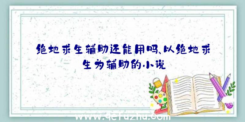 绝地求生辅助还能用吗、以绝地求生为辅助的小说