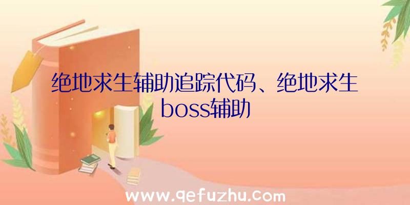 绝地求生辅助追踪代码、绝地求生boss辅助