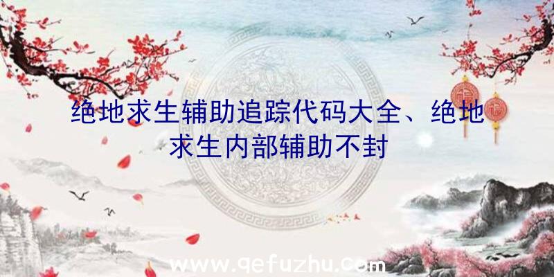 绝地求生辅助追踪代码大全、绝地求生内部辅助不封