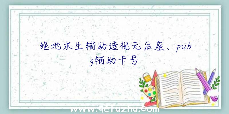 绝地求生辅助透视无后座、pubg辅助卡号