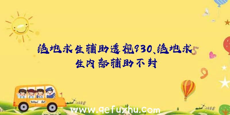 绝地求生辅助透视930、绝地求生内部辅助不封