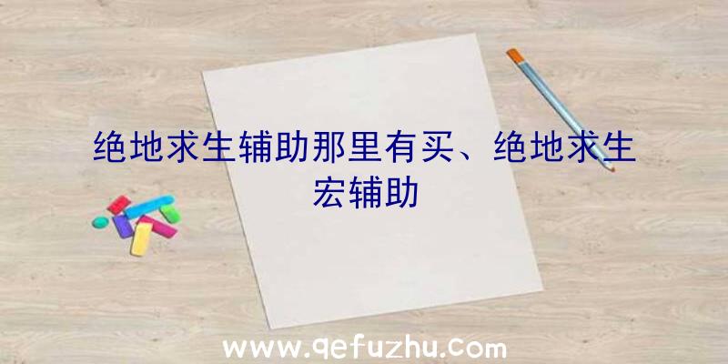 绝地求生辅助那里有买、绝地求生宏辅助