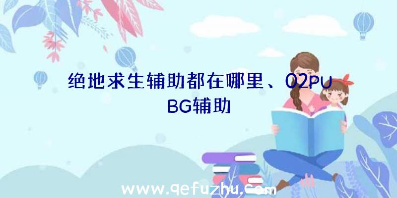 绝地求生辅助都在哪里、02PUBG辅助