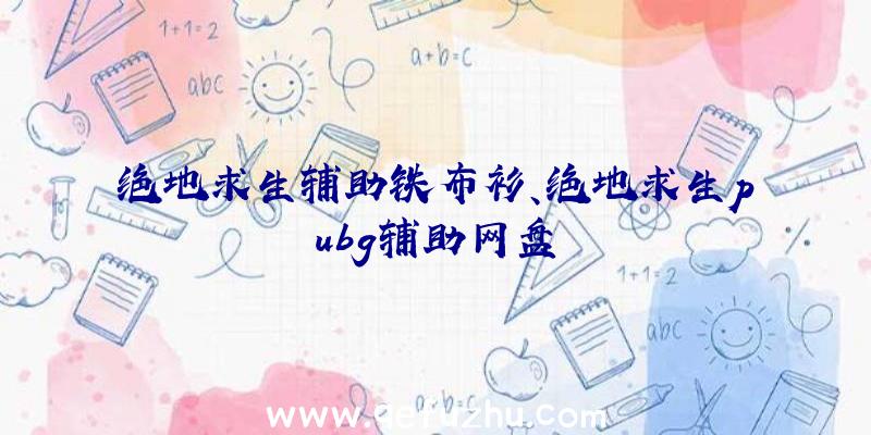 绝地求生辅助铁布衫、绝地求生pubg辅助网盘