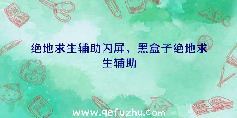 绝地求生辅助闪屏、黑盒子绝地求生辅助