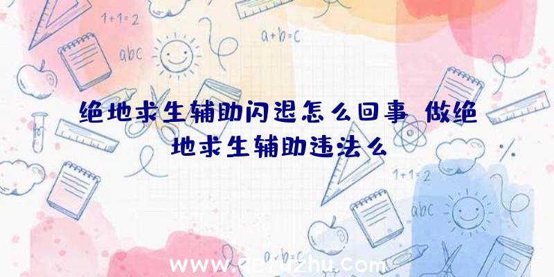 绝地求生辅助闪退怎么回事、做绝地求生辅助违法么