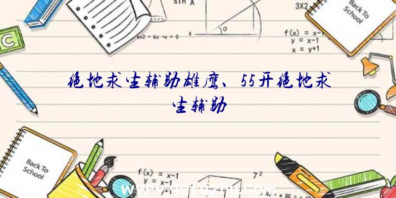 绝地求生辅助雄鹰、55开绝地求生辅助