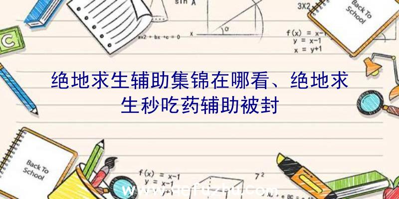 绝地求生辅助集锦在哪看、绝地求生秒吃药辅助被封