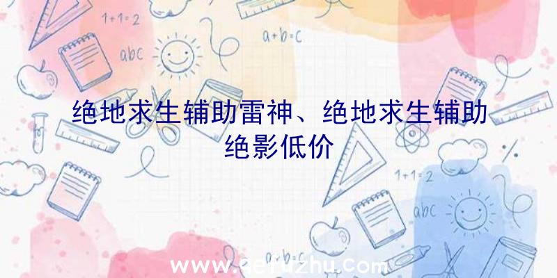 绝地求生辅助雷神、绝地求生辅助绝影低价