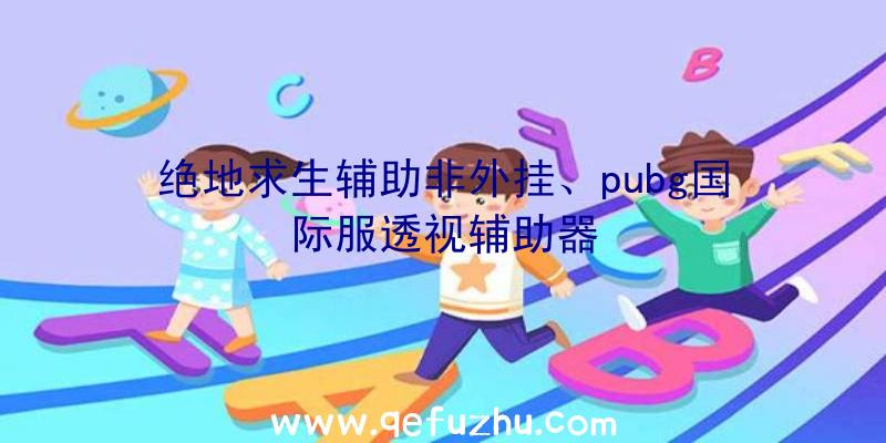 绝地求生辅助非外挂、pubg国际服透视辅助器